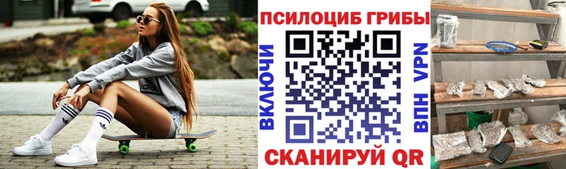 Галлюциногенные грибы прущие грибы блэк спрут зеркало shop Telegram где найти наркотики Абаза